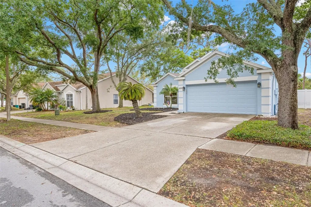 1620 Navigator Lane Tarpon Springs FL 34689