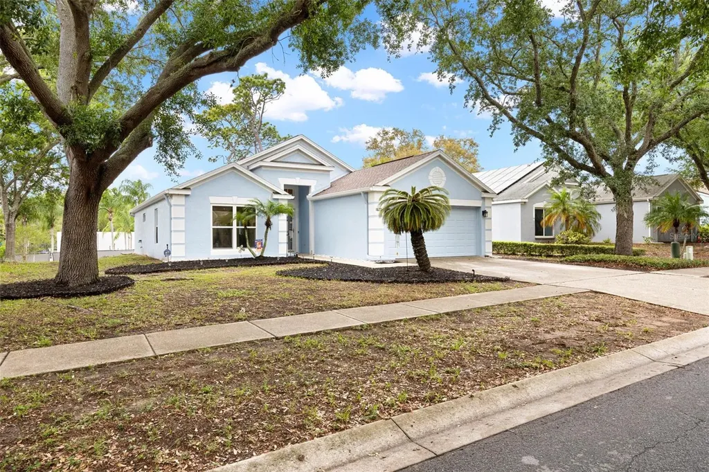 1620 Navigator Lane Tarpon Springs FL 34689