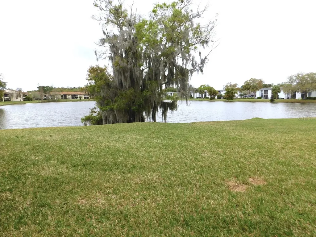 207 Woodlake Wynde Oldsmar FL 34677