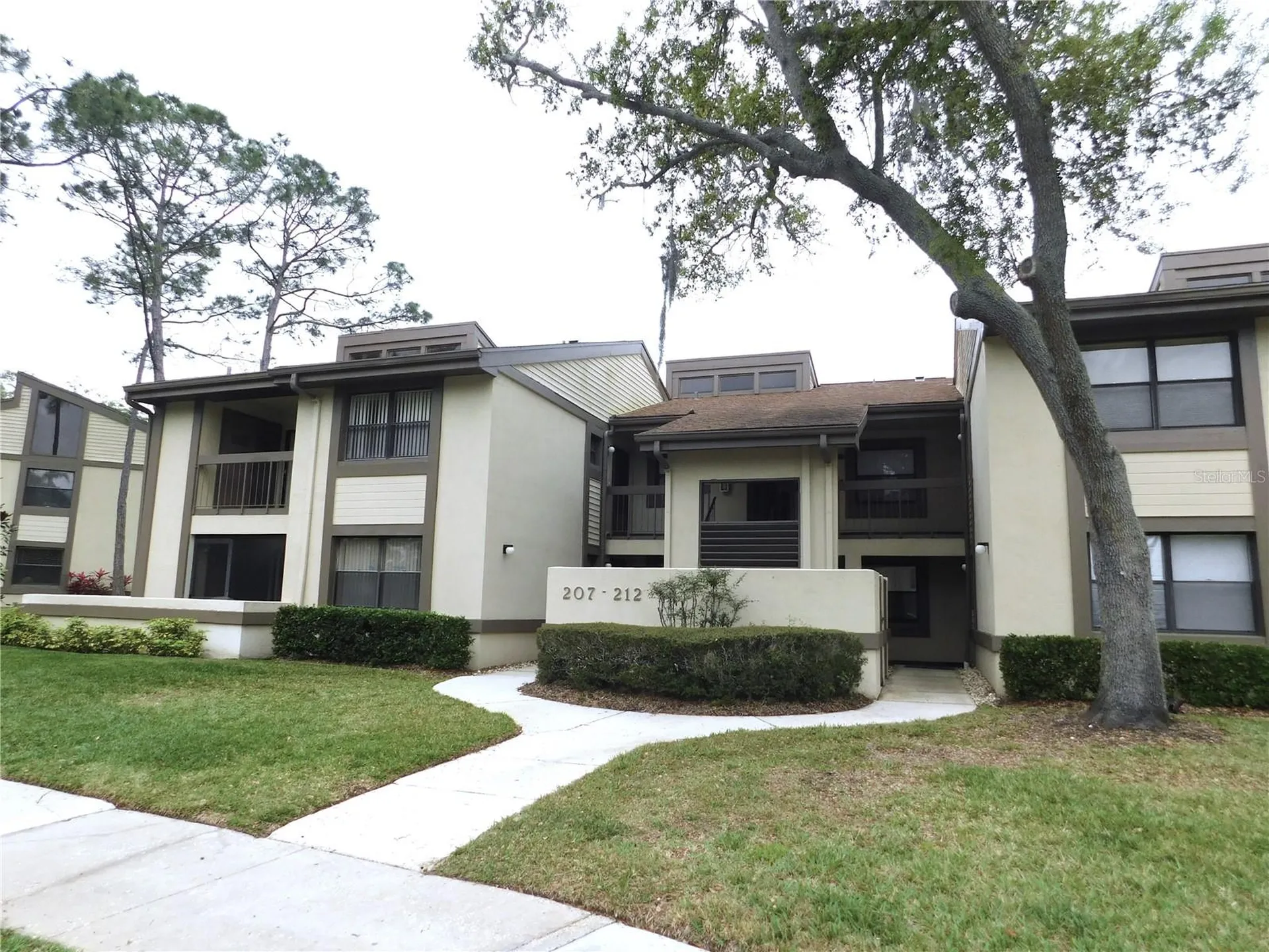 207 Woodlake Wynde Oldsmar FL 34677