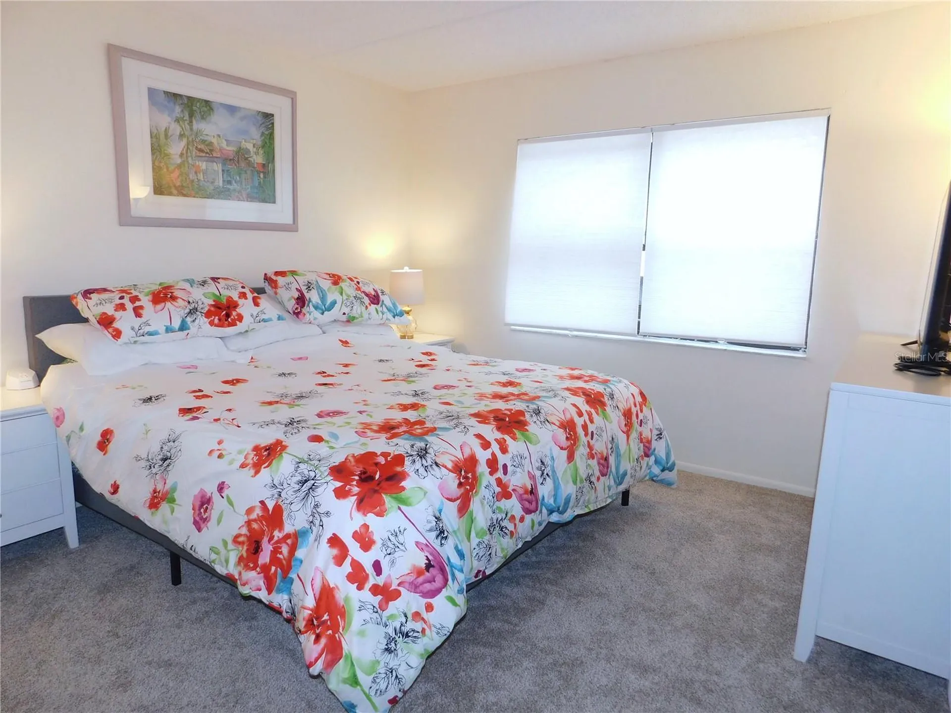 207 Woodlake Wynde Oldsmar FL 34677