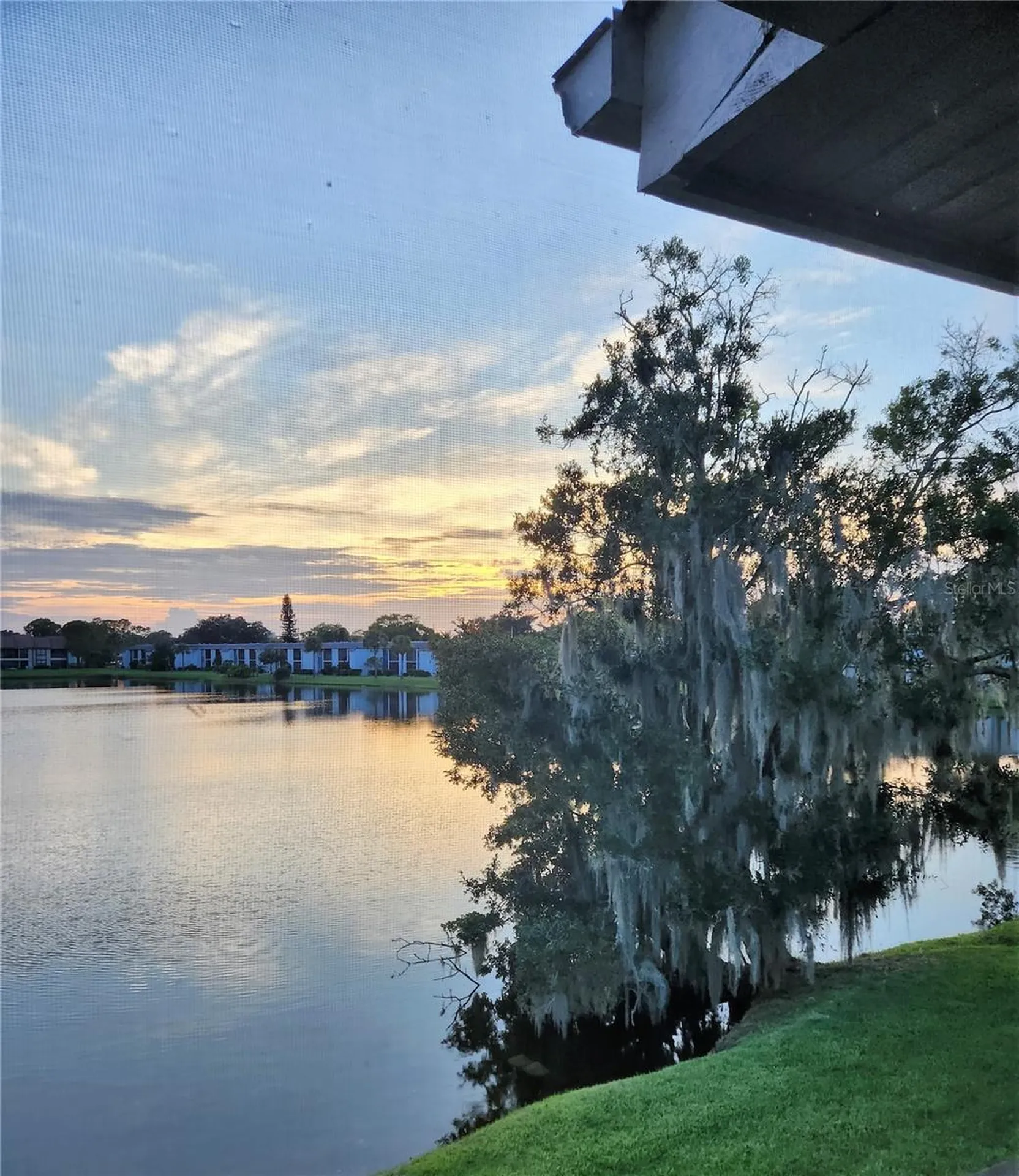 207 Woodlake Wynde Oldsmar FL 34677