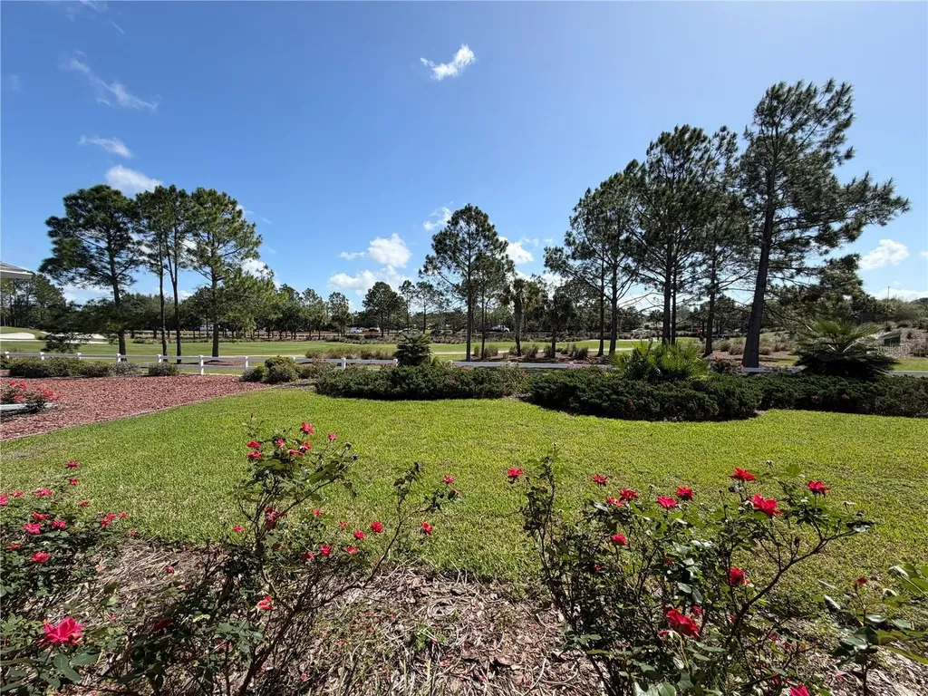 8380 SW 82nd Circle Ocala FL 34481