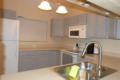 1610 Seascape Circle Tarpon Springs FL 34689