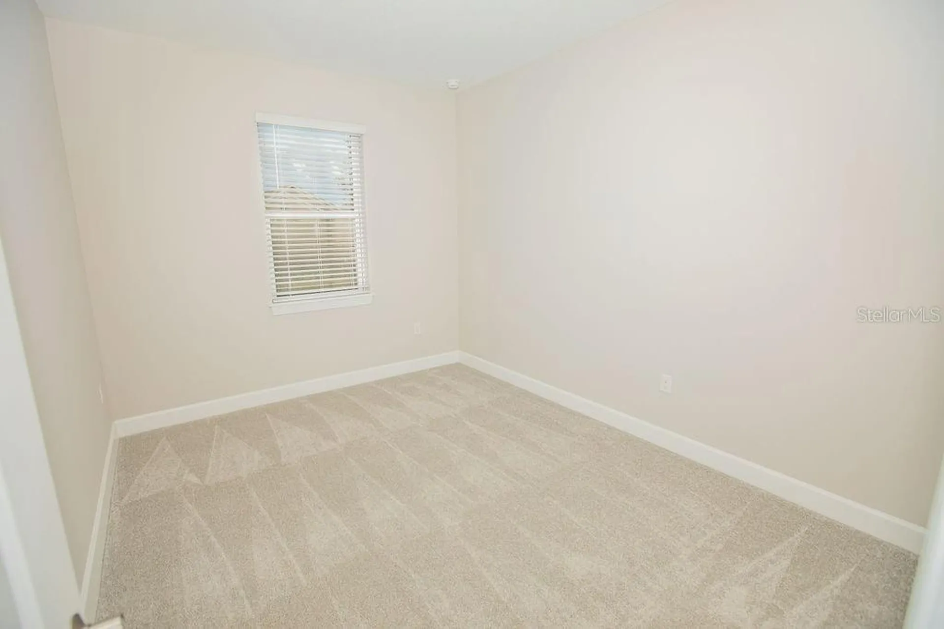 4605 Rosatti Road Wesley Chapel FL 33543