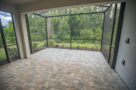 4605 Rosatti Road Wesley Chapel FL 33543