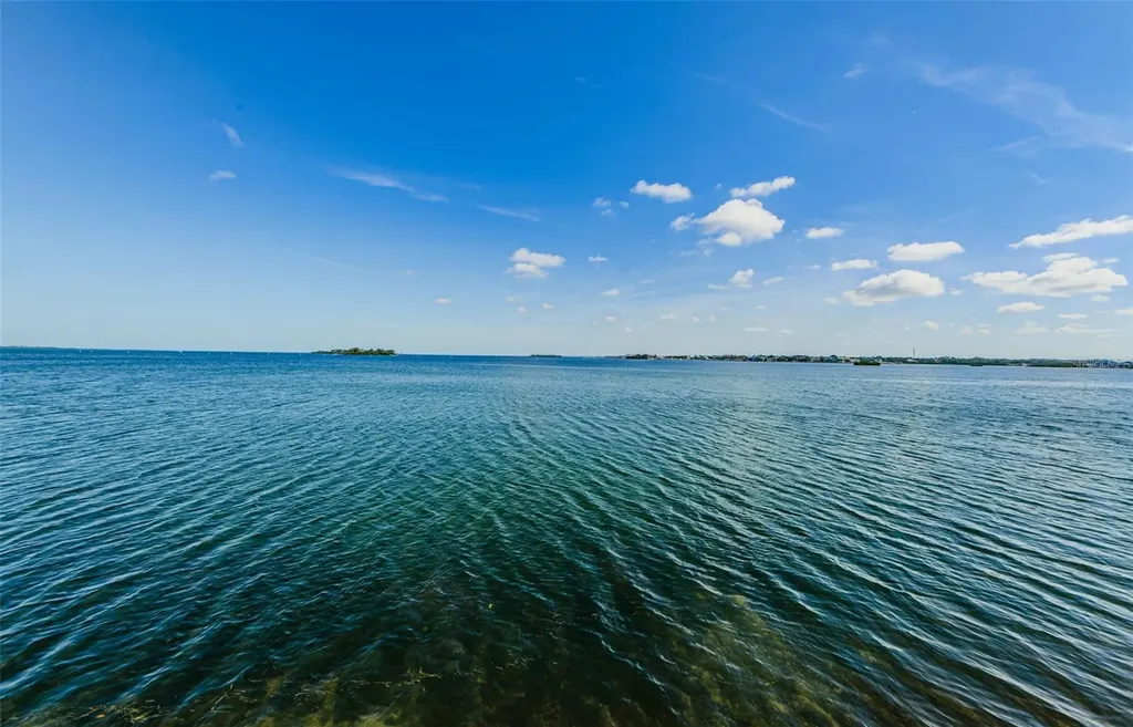 Dunedin FL 34698