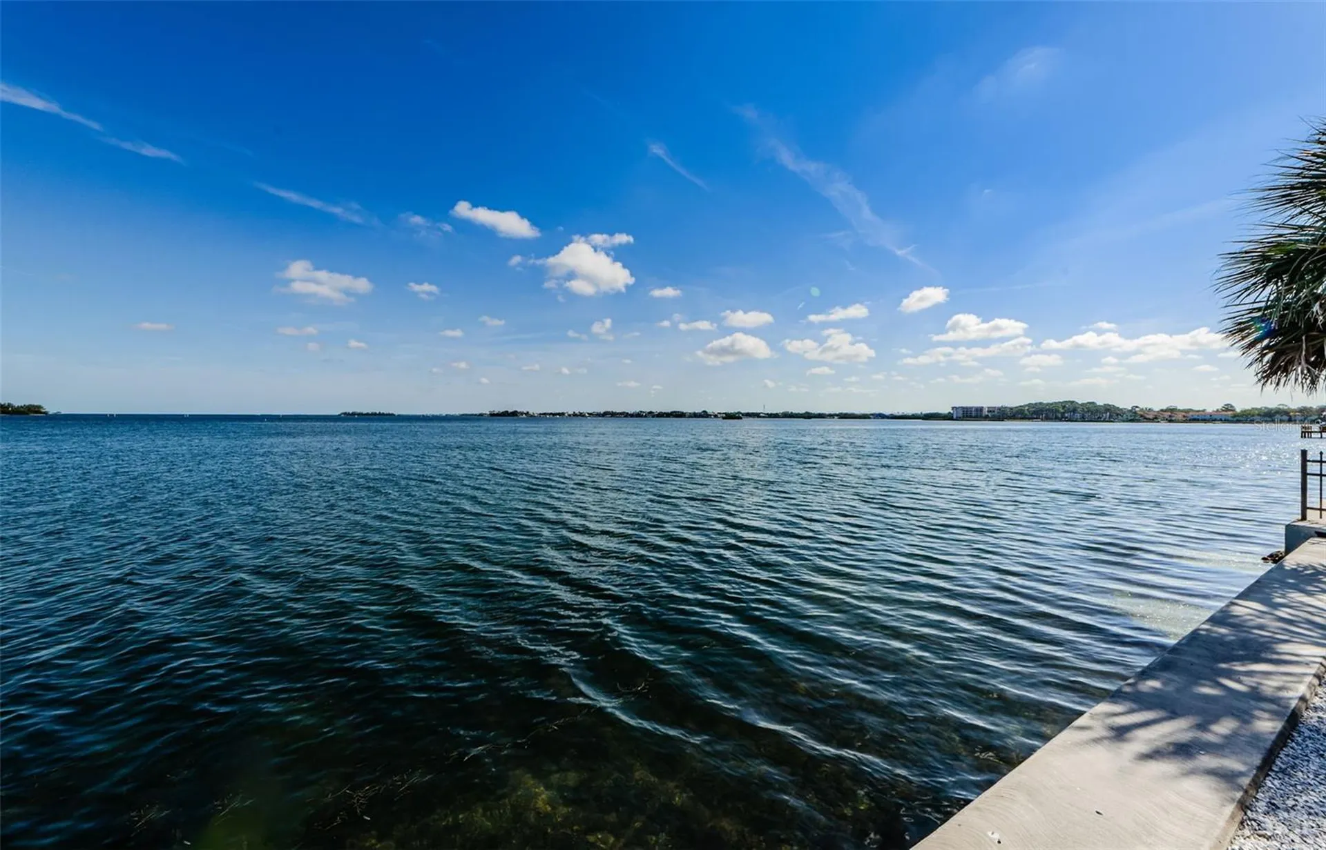 Dunedin FL 34698