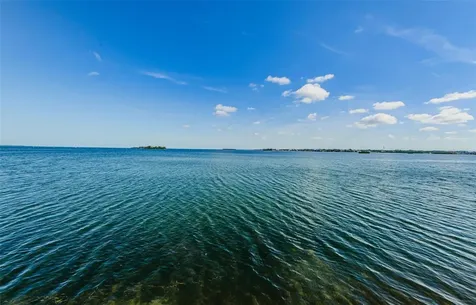 Dunedin FL 34698