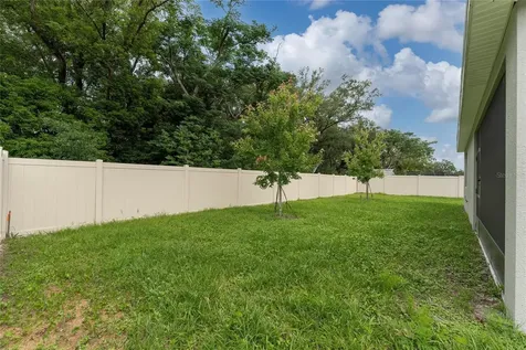 1434 Maddie Berry Lane Kissimmee FL 34744