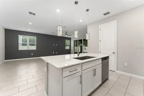 1434 Maddie Berry Lane Kissimmee FL 34744