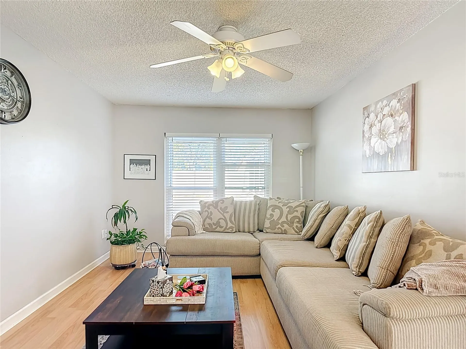 3729 Sand Pebble Drive Valrico FL 33596