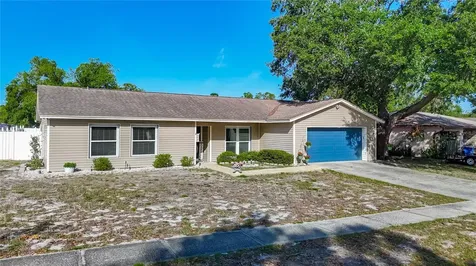 3729 Sand Pebble Drive Valrico FL 33596