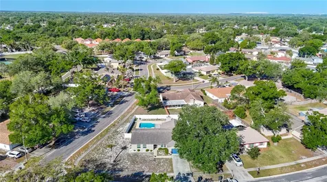 3729 Sand Pebble Drive Valrico FL 33596