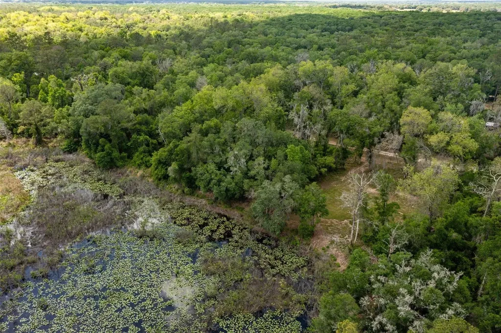 0 Kenyon Drive Webster FL 33597
