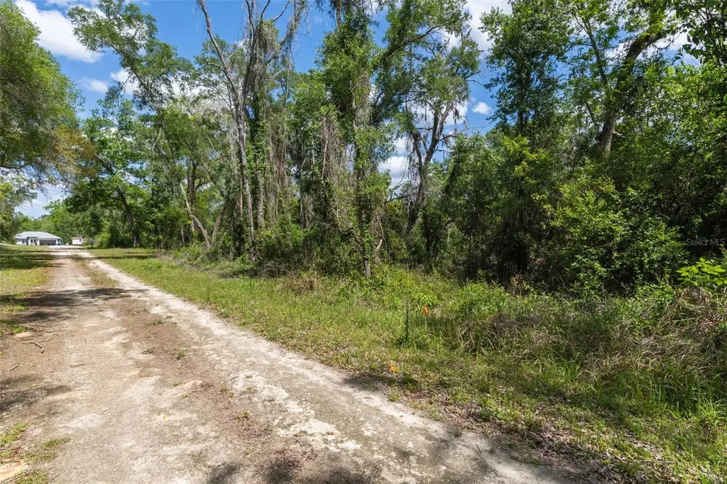 0 Kenyon Drive Webster FL 33597