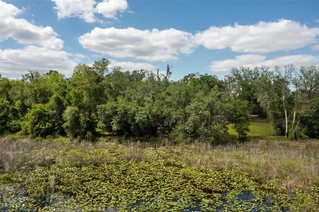 0 Kenyon Drive Webster FL 33597