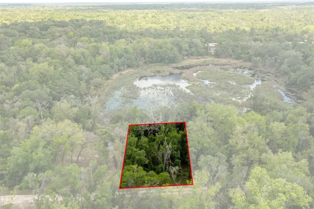 0 Kenyon Drive Webster FL 33597