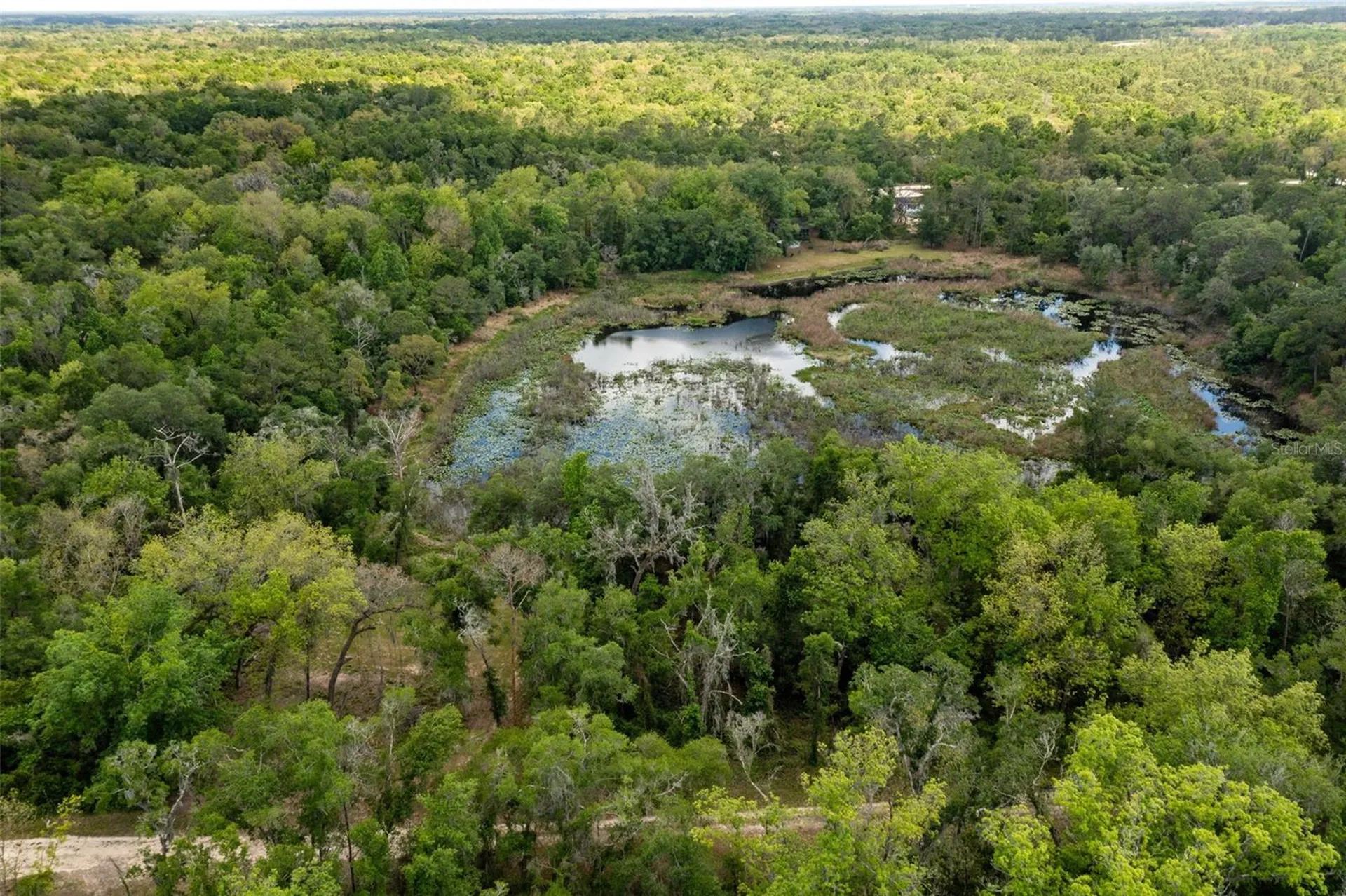 0 Kenyon Drive Webster FL 33597
