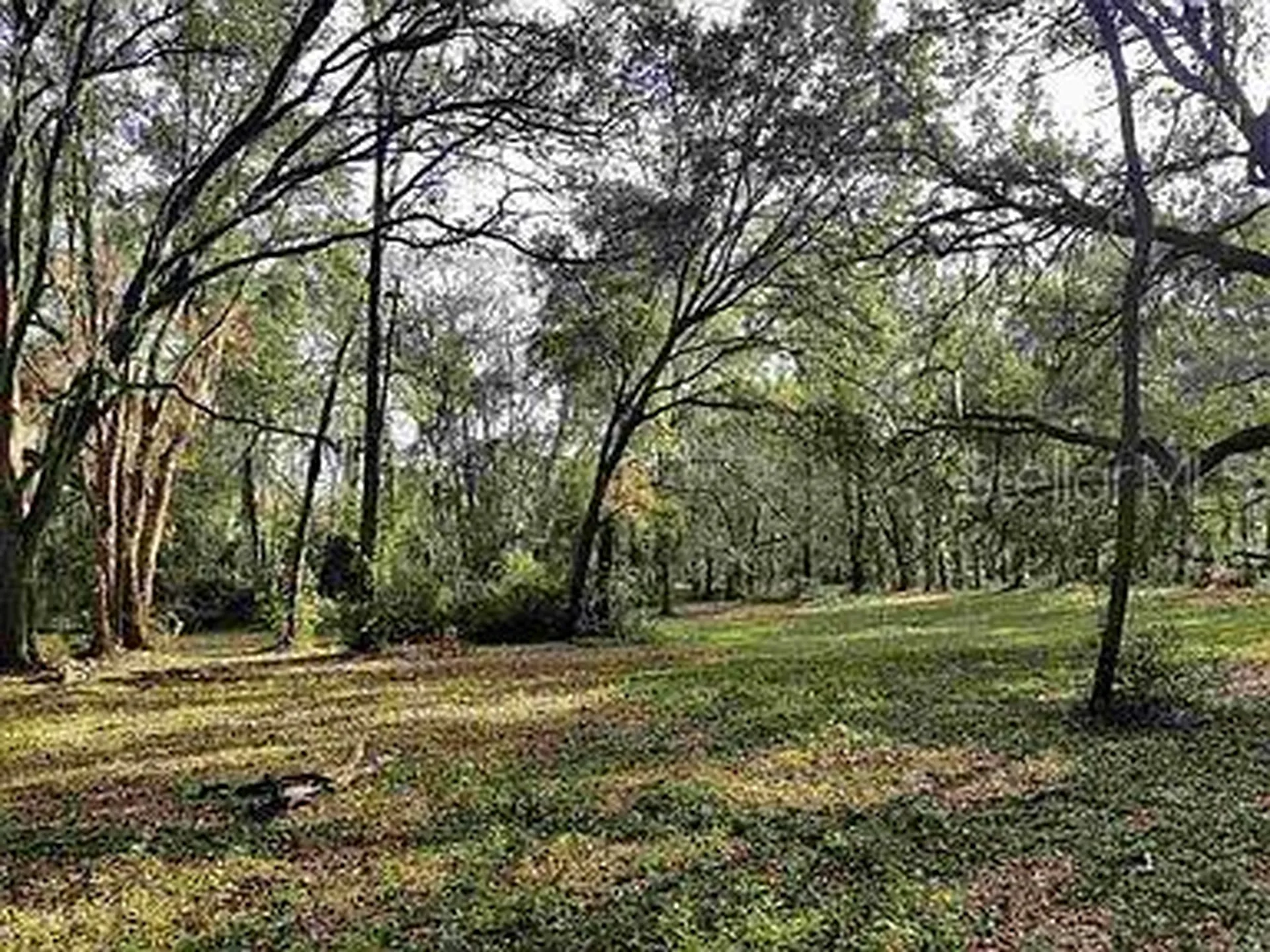 21289 County Road 455 Clermont FL 34715