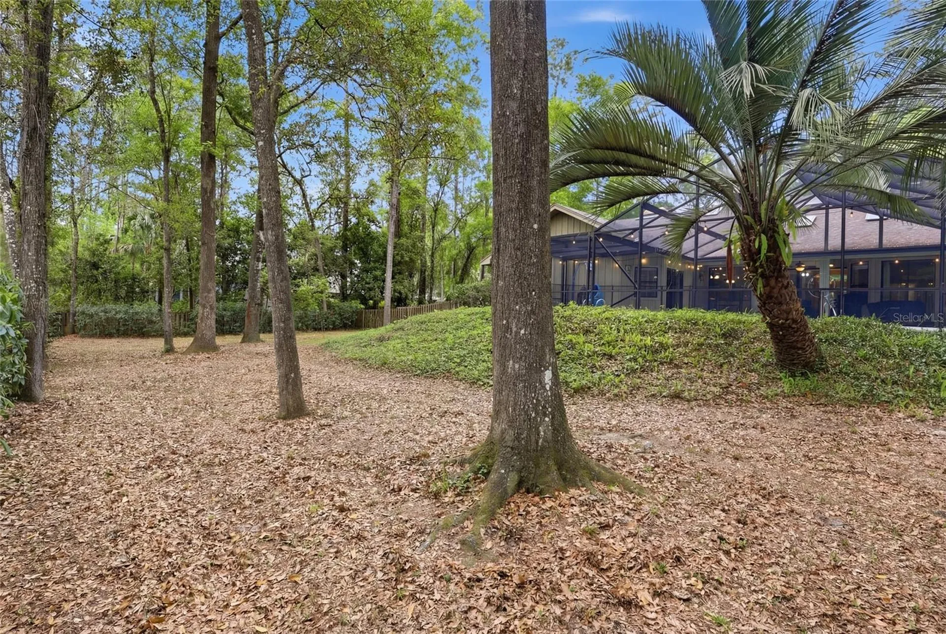 4441 SW 85th Way Gainesville FL 32608
