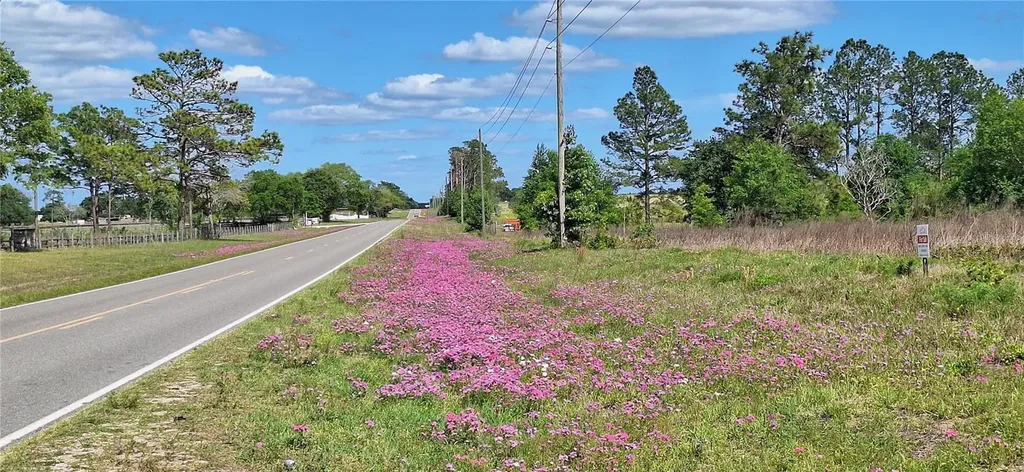 SE 60th Street Morriston FL 32668