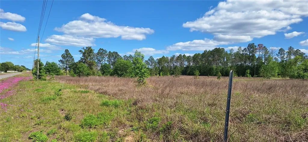 SE 60th Street Morriston FL 32668