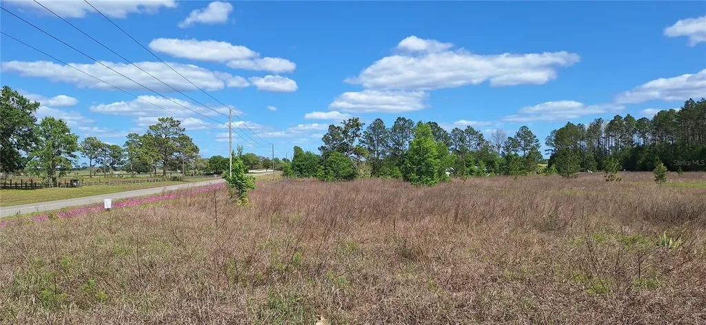 SE 60th Street Morriston FL 32668