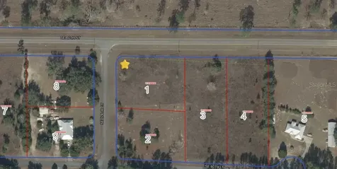 SE 60th Street Morriston FL 32668