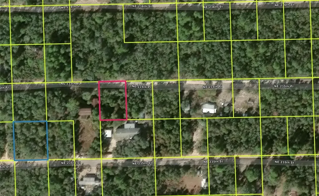 NE 235th Place Fort Mc Coy FL 32134