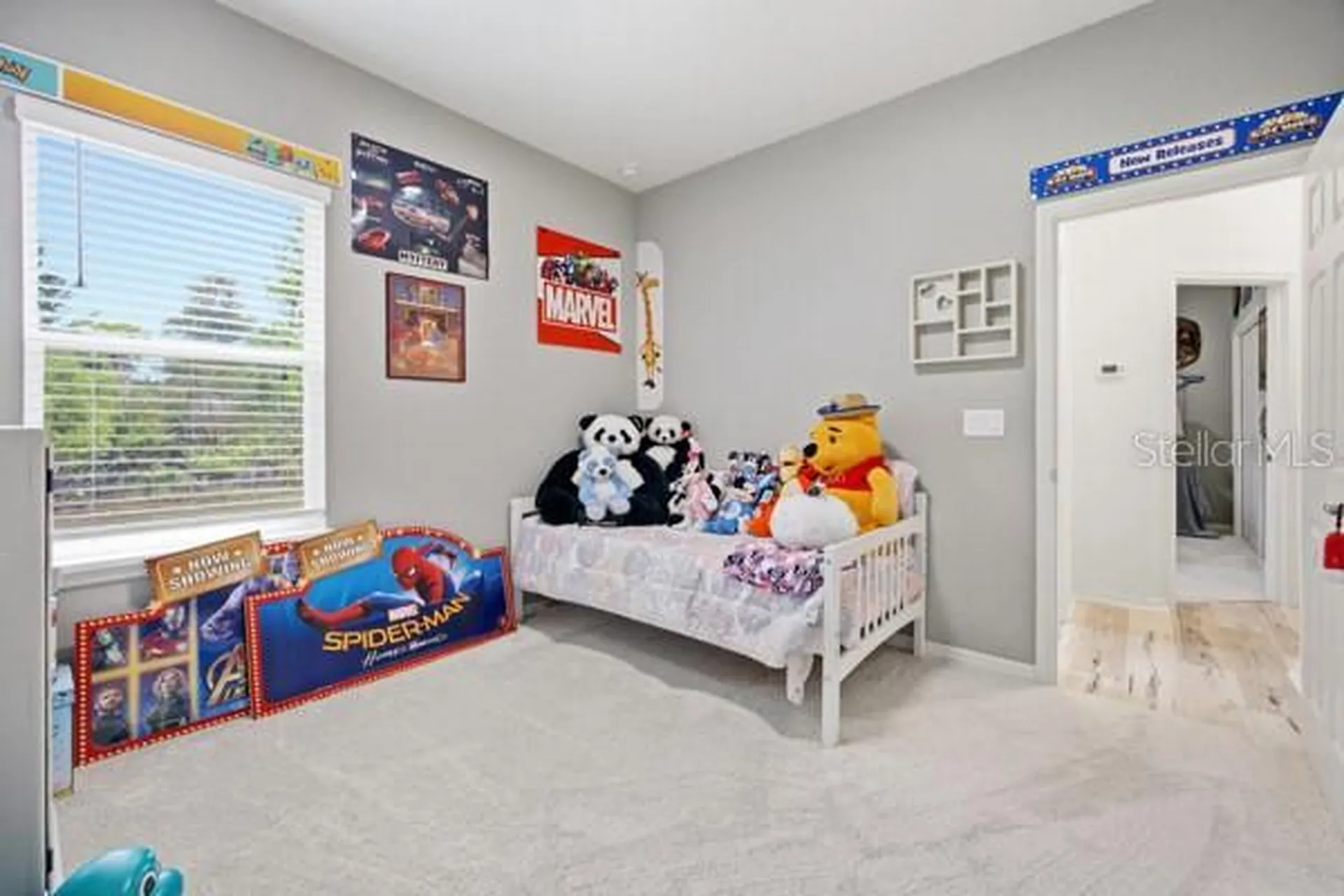 4909 SW 107 Loop Ocala FL 34476