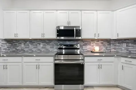 4909 SW 107 Loop Ocala FL 34476