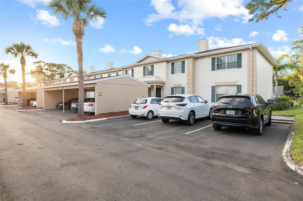 3402 Latania Drive Tampa FL 33618