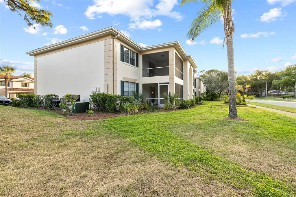 3402 Latania Drive Tampa FL 33618