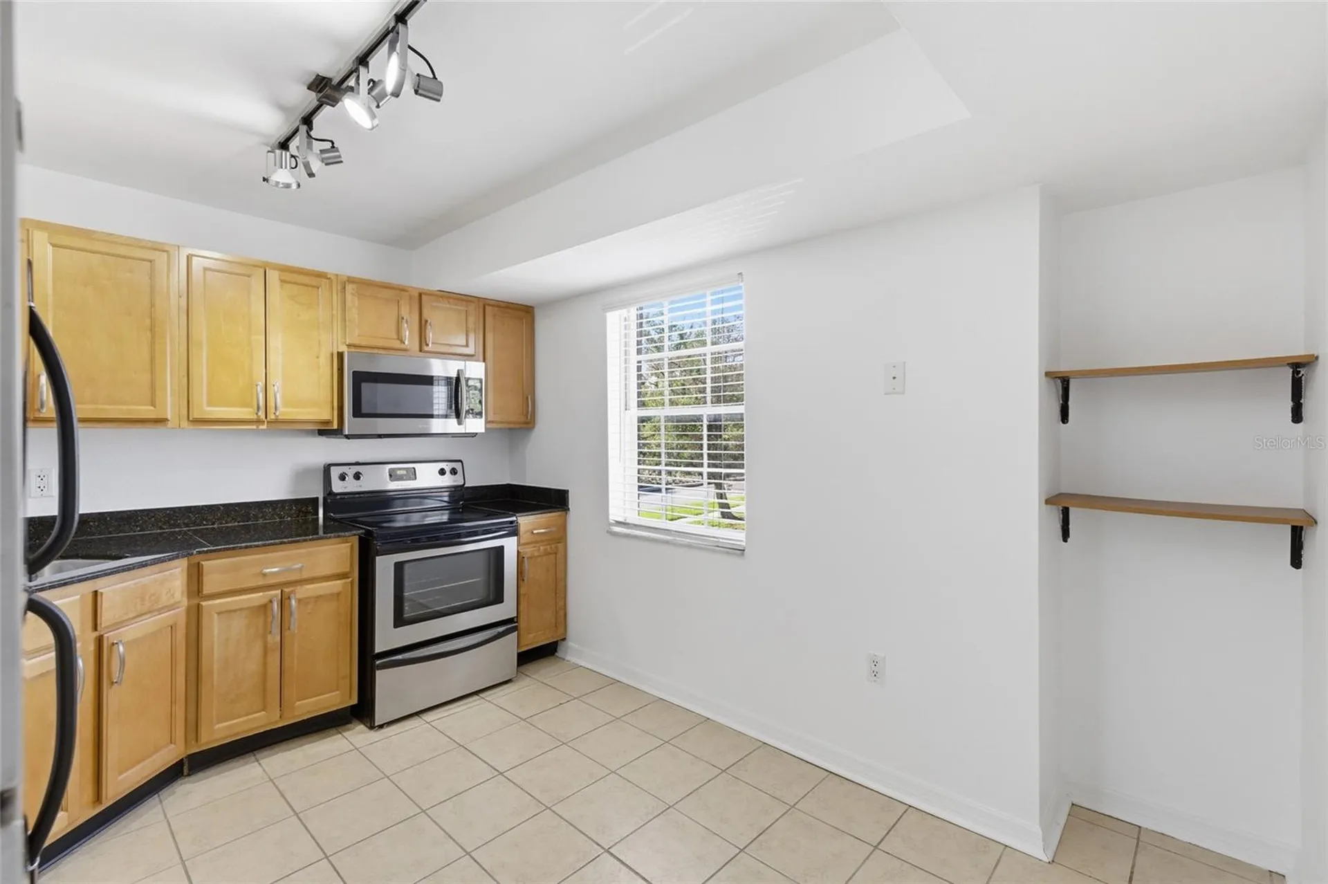 3402 Latania Drive Tampa FL 33618