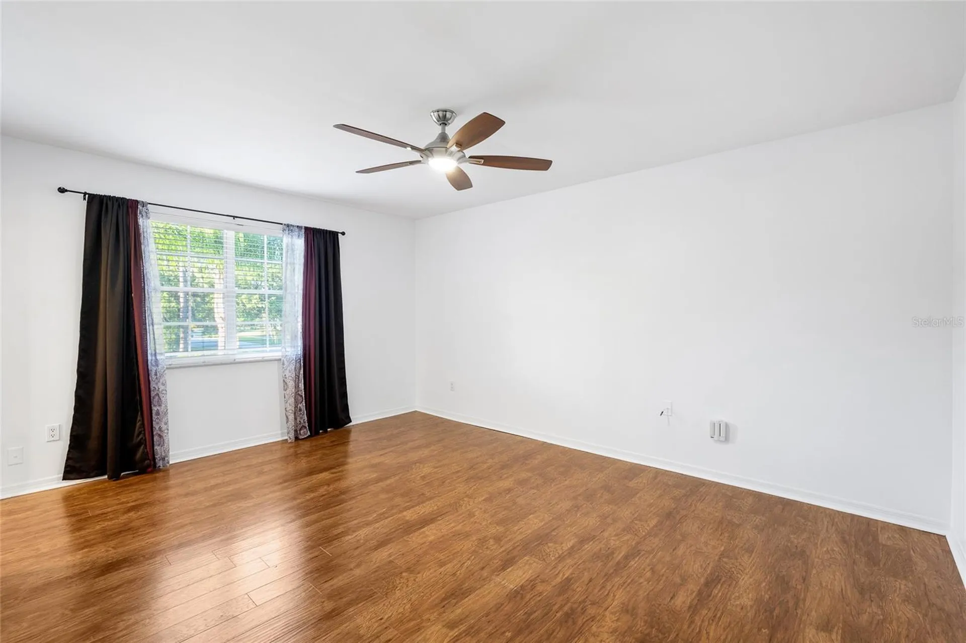 3402 Latania Drive Tampa FL 33618