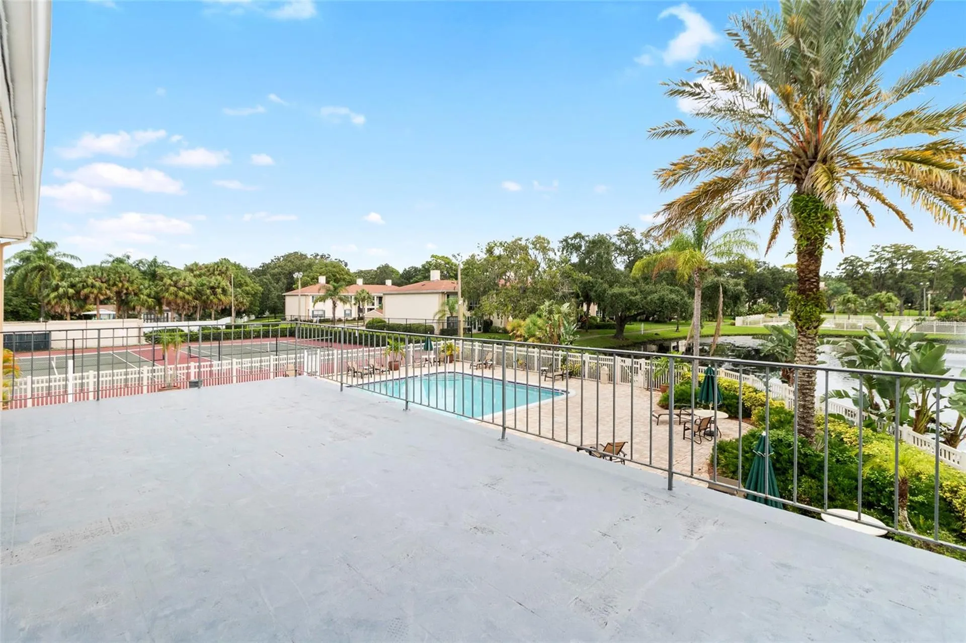 3402 Latania Drive Tampa FL 33618
