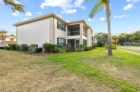 3402 Latania Drive Tampa FL 33618