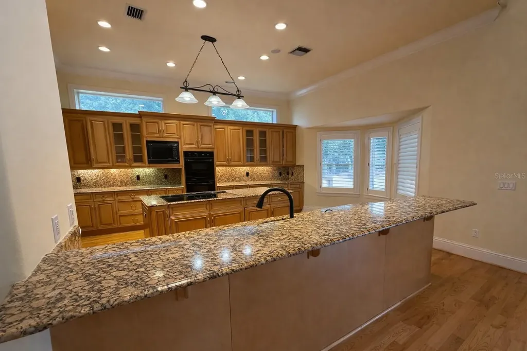 441 Lucerne Avenue Tampa FL 33606