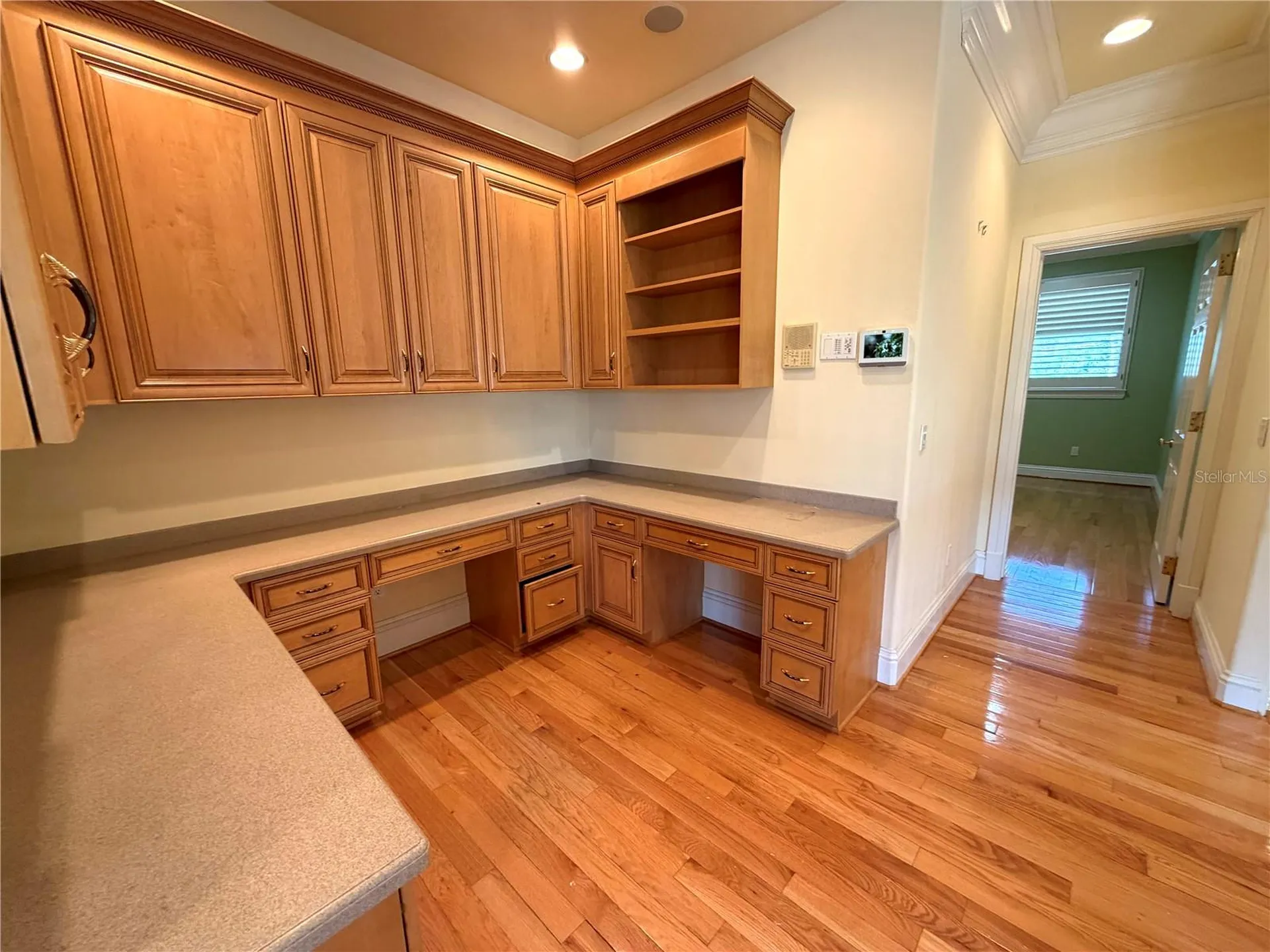 441 Lucerne Avenue Tampa FL 33606