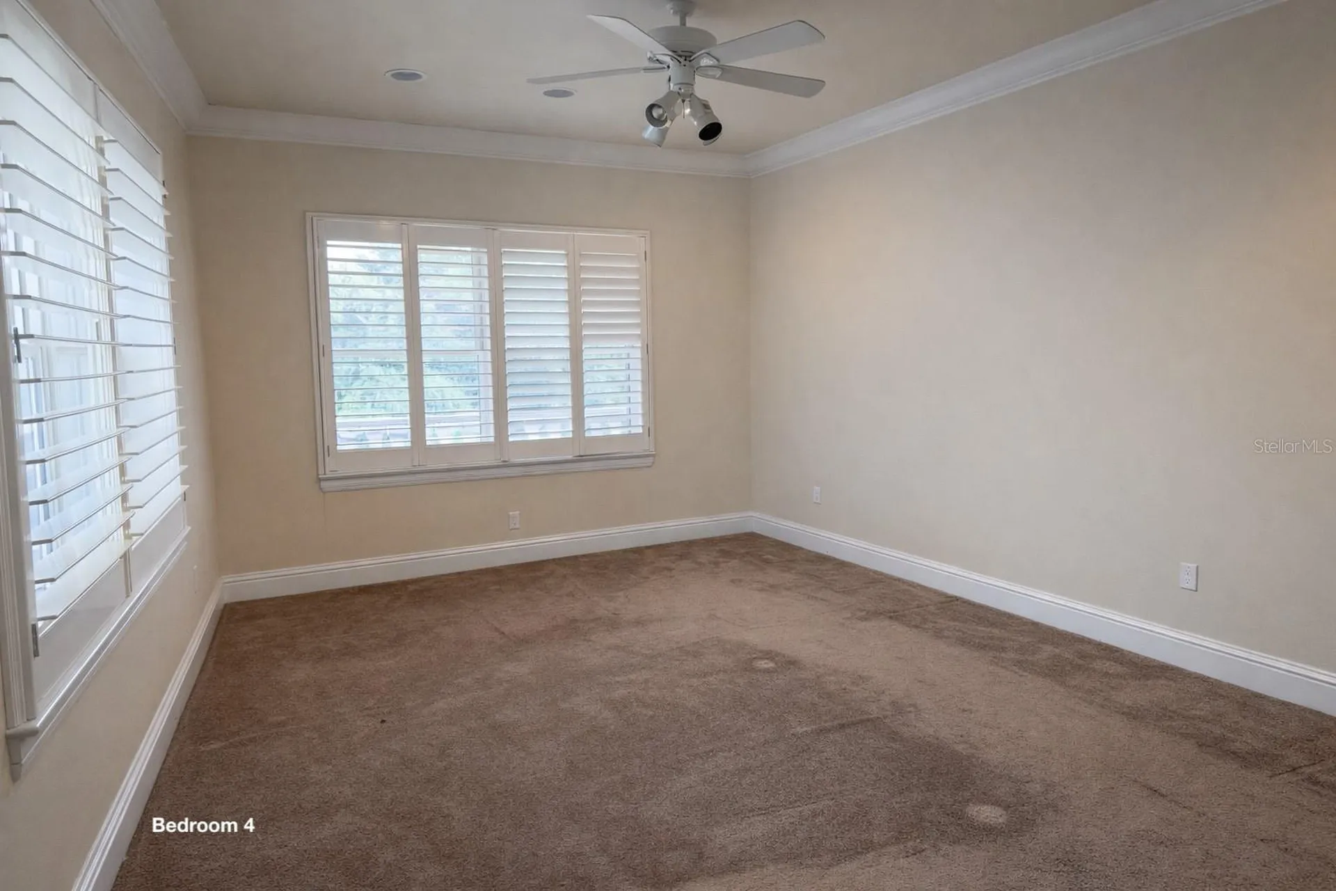 441 Lucerne Avenue Tampa FL 33606