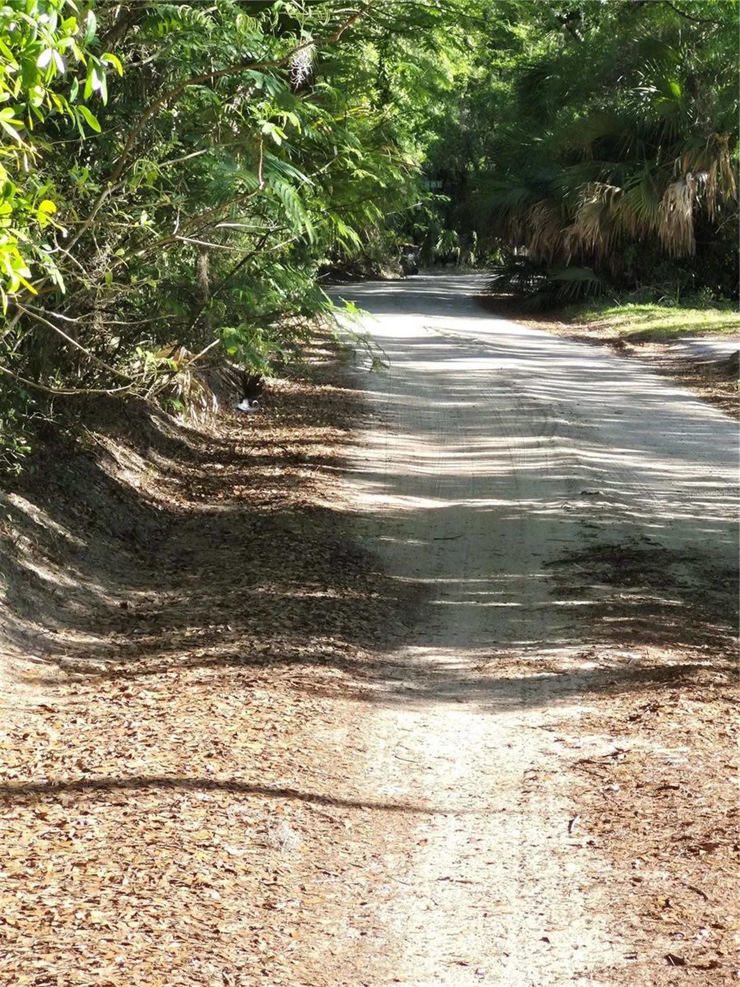 SW 153rd Lane Dunnellon FL 34432