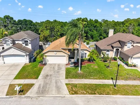 8525 Heyward Road Tampa FL 33635