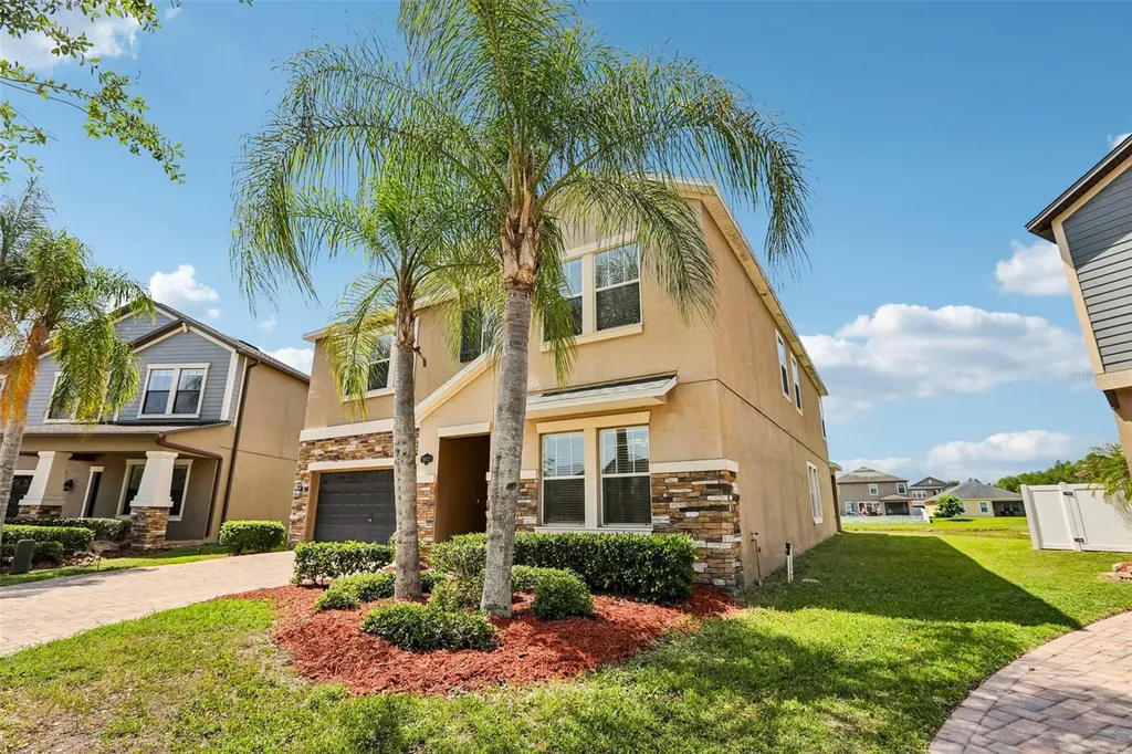 19417 Paddock View Drive Tampa FL 33647