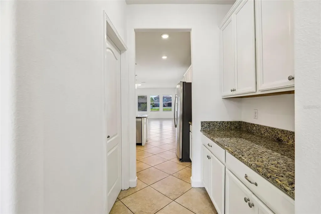 19417 Paddock View Drive Tampa FL 33647