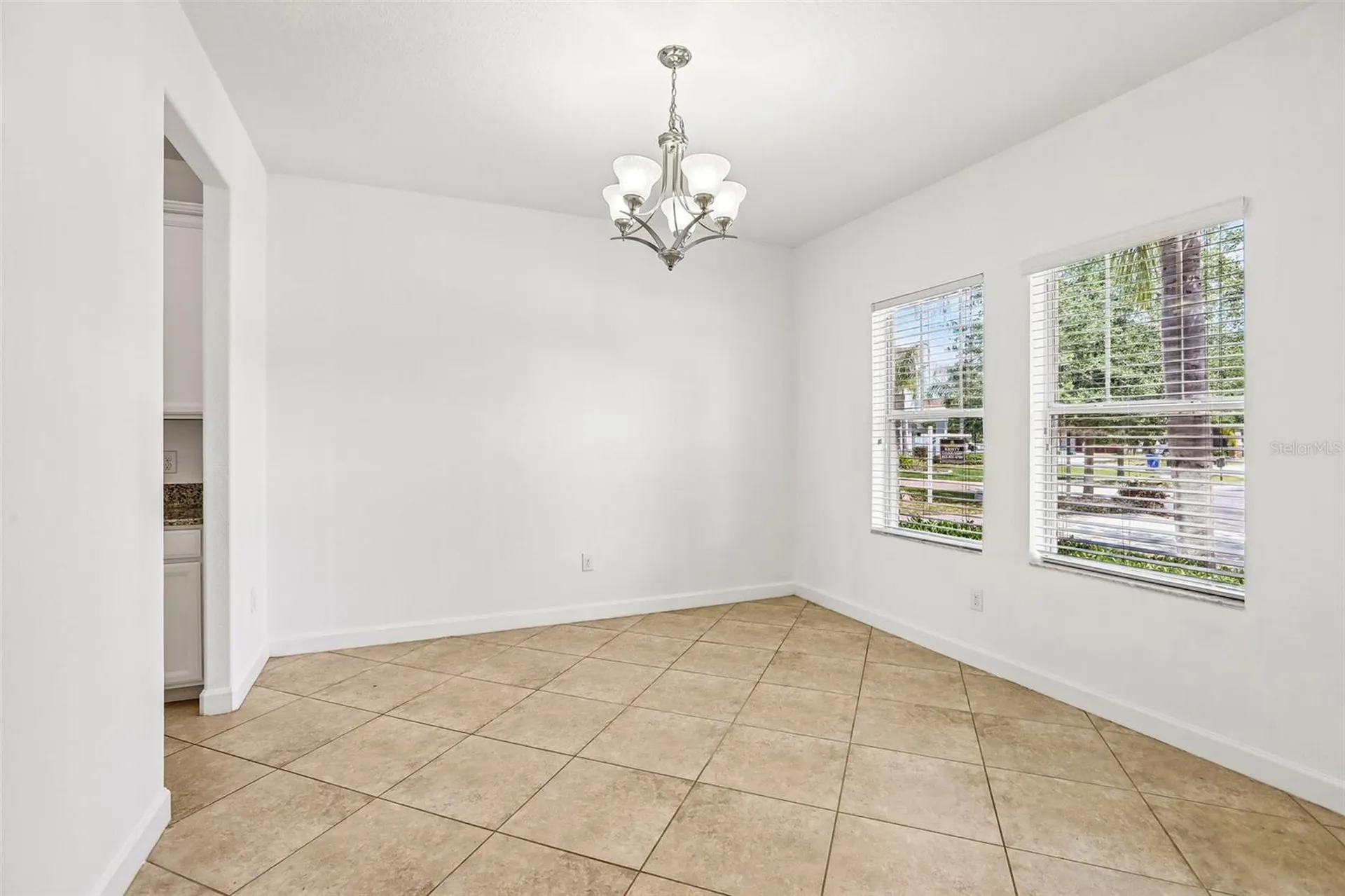 19417 Paddock View Drive Tampa FL 33647