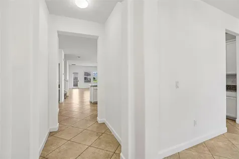 19417 Paddock View Drive Tampa FL 33647