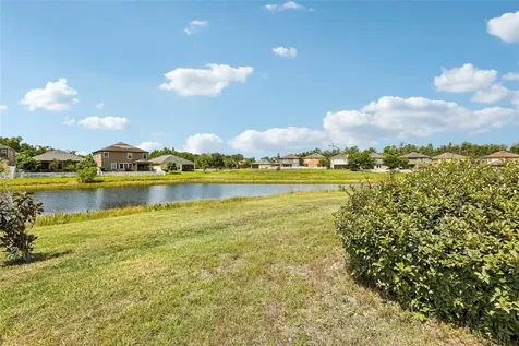 19417 Paddock View Drive Tampa FL 33647