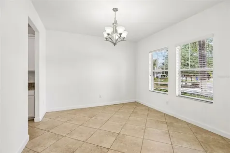 19417 Paddock View Drive Tampa FL 33647