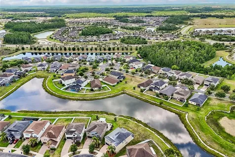 19417 Paddock View Drive Tampa FL 33647